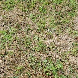 Meet your Posher, Chad